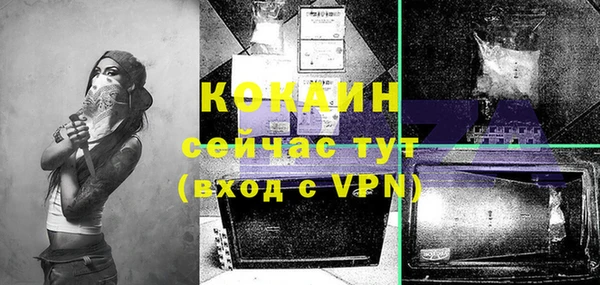 mdpv Новозыбков