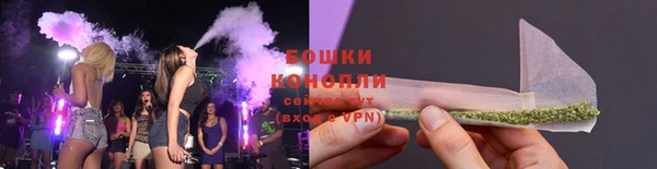 mdpv Новозыбков