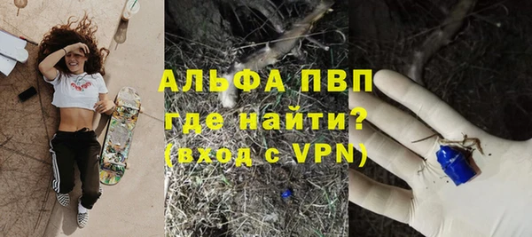 PSILOCYBIN Новодвинск