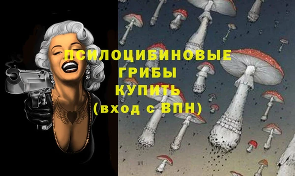 PSILOCYBIN Новодвинск