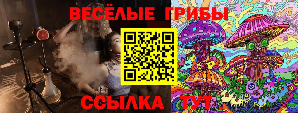 Псилоцибиновые грибы прущие грибы Владивосток