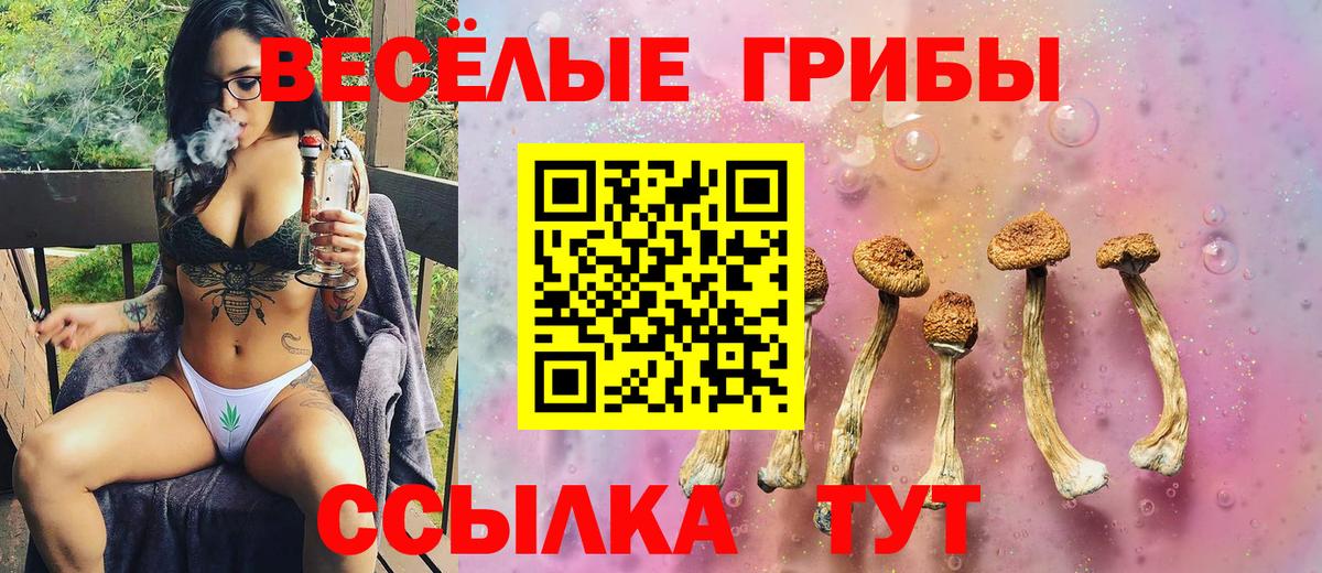Владивосток  Галлюциногенные грибы Psilocybe  Вход с VPN  цены наркотик  Псилоцибиновые грибы MAGIC MUSHROOMS 