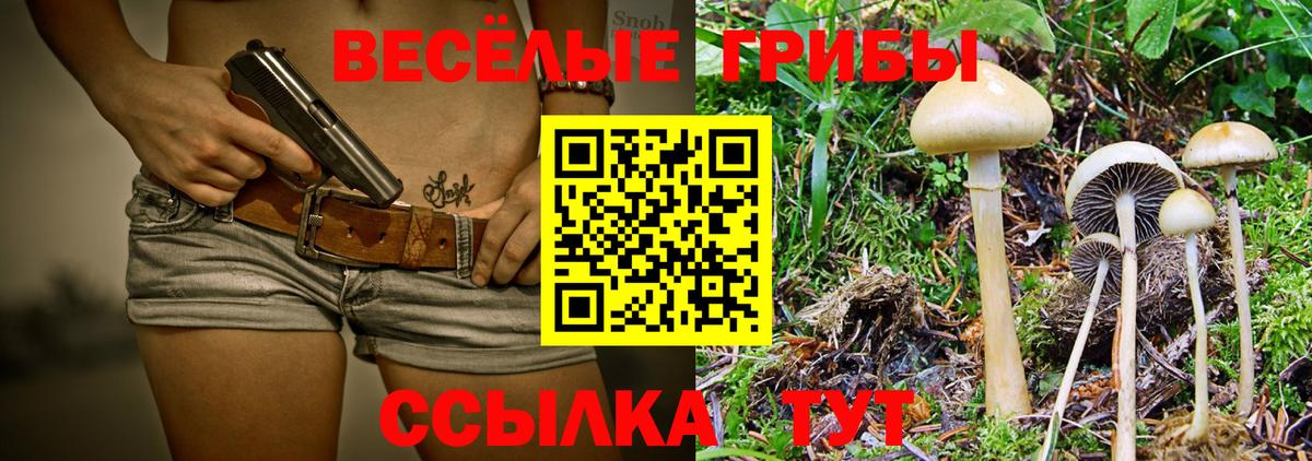Псилоцибиновые грибы GOLDEN TEACHER Владивосток