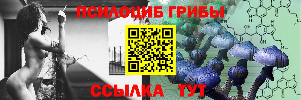 Псилоцибиновые грибы прущие грибы Владивосток