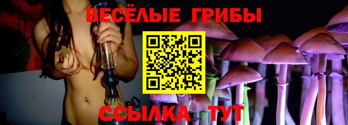 Псилоцибиновые грибы прущие грибы  где можно купить   Владивосток  Вход с VPN 